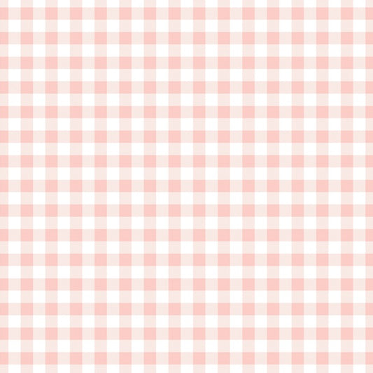 Little Gingham in Pink