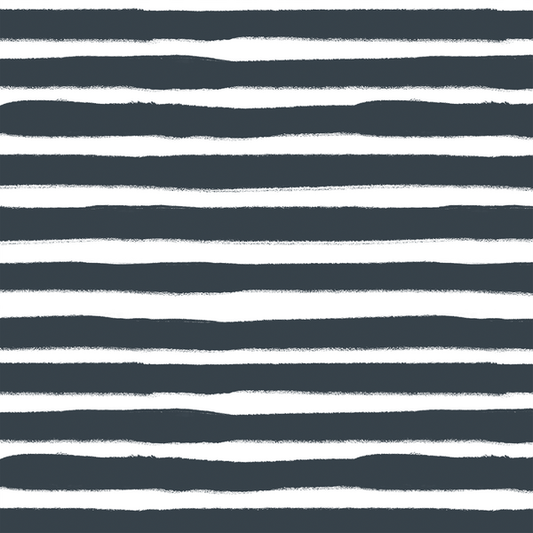 Large Painted Stripe in Midnight Sky