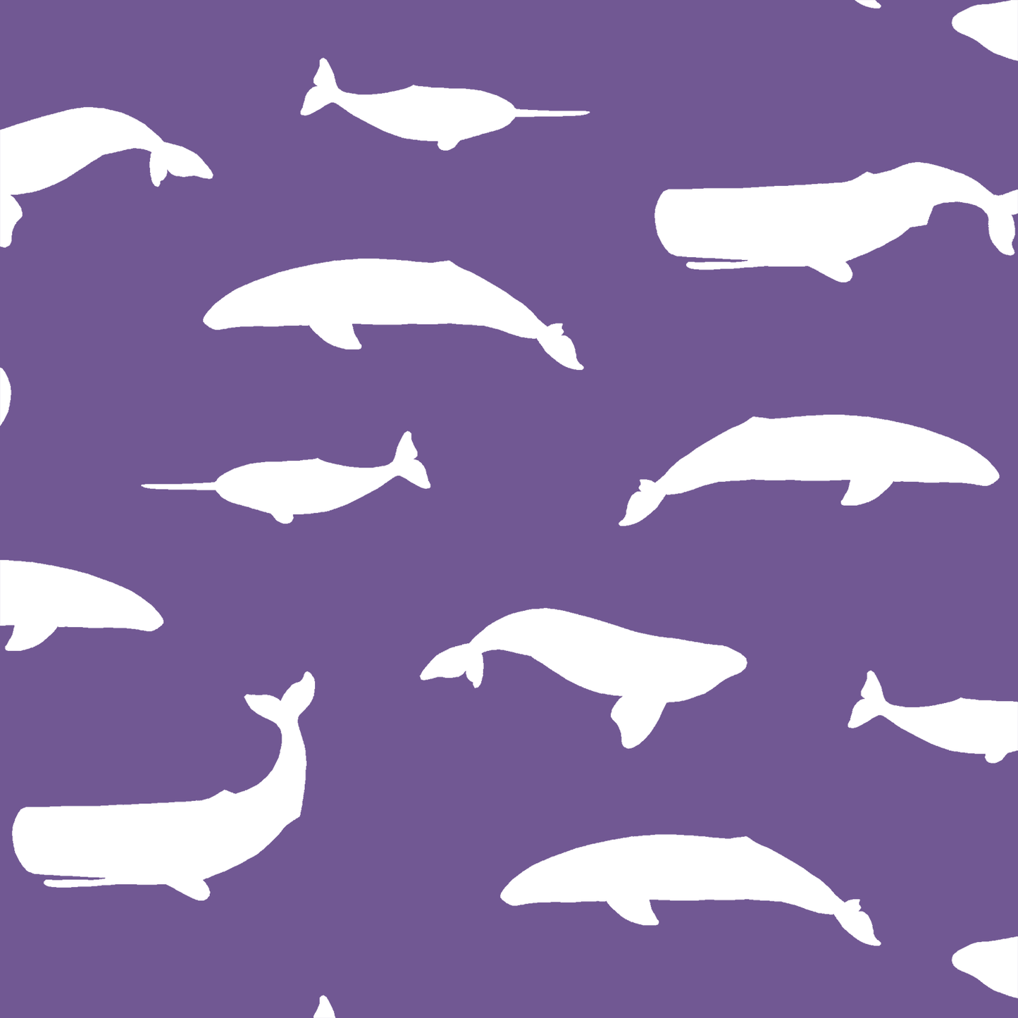Whale Silhouette in Ultra Violet