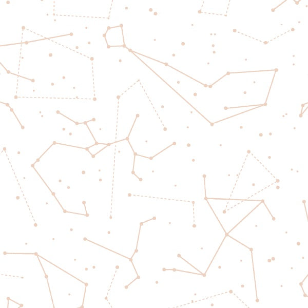 Star Charts in Shell on White