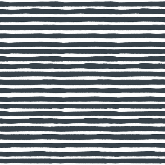 Painted Stripe in Midnight Sky